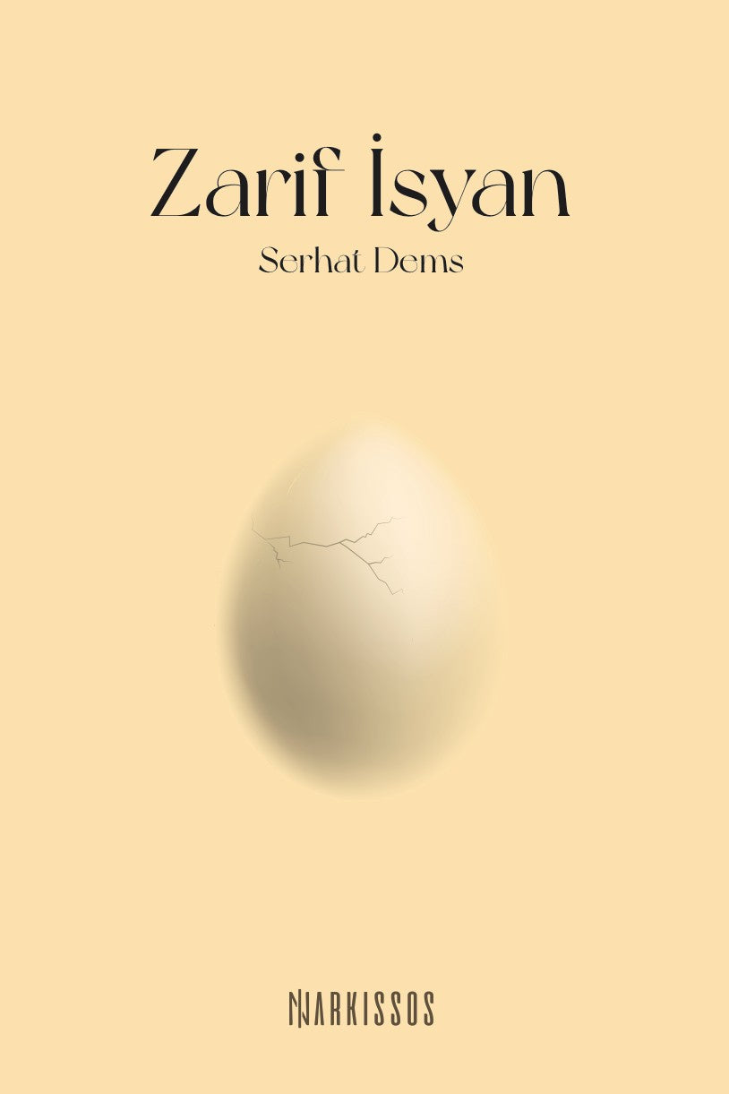 Zarif İsyan - Serhat Dems kitap kapağı