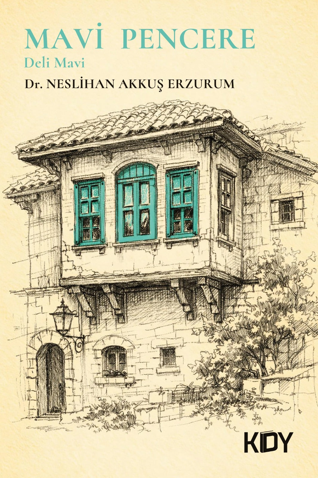 Mavi Pencere - Dr. Neslihan Akkuş Erzurum kitap kapağı