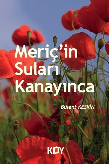 Meriç'in Suları Kanayınca - Bülent Keskin kitap kapağı
