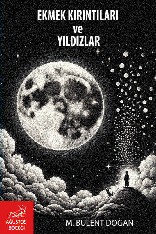 Ekmek Kırıntıları ve Yıldızlar - M. Bülent Doğan kitap kapağı