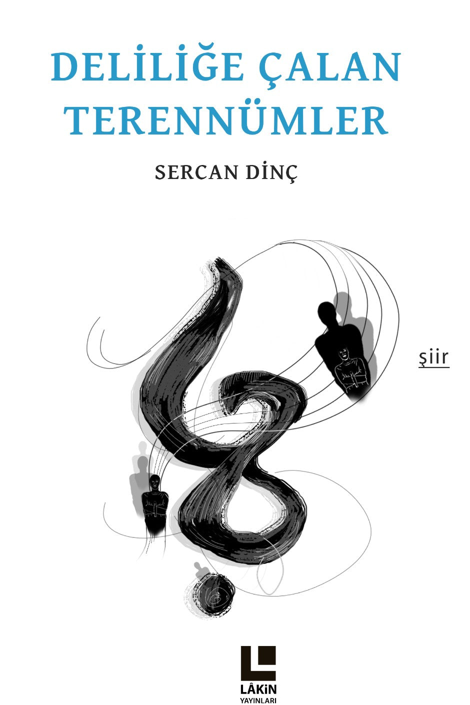 Deliliğe Çalan Terennümler - Sercan Dinç kitap kapağı