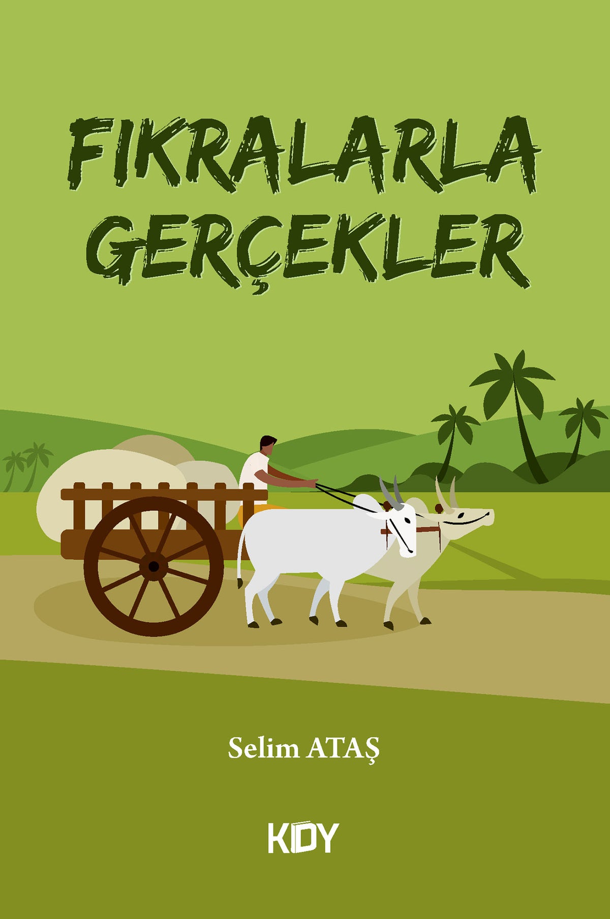 Fıkralarla Gerçekler - Selim Ataş kitap kapağı