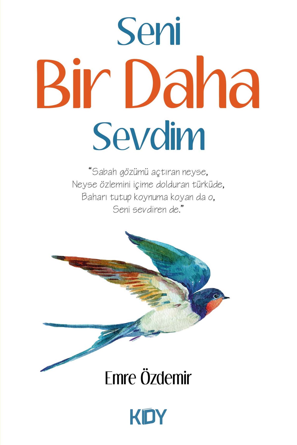 Seni Bir Daha Sevdim - Emre Özdemir kitap kapağı