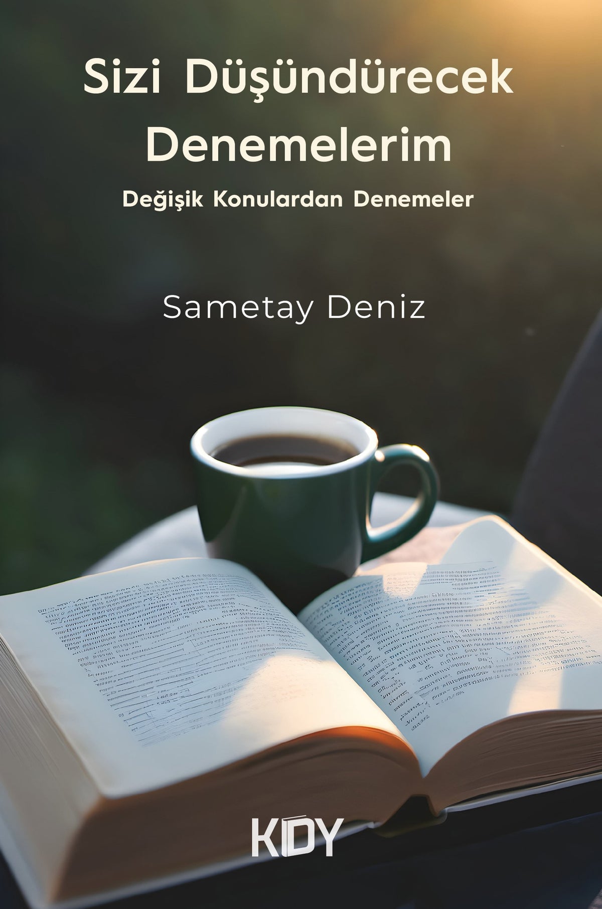 Sizi Düşündürecek Denemelerim - Sametay Deniz kitap kapağı
