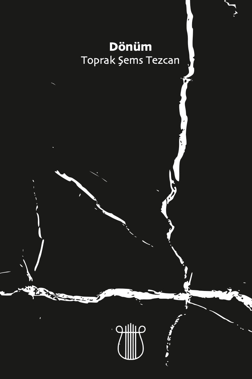 Dönüm - Toprak Şems Tezcan kitap kapağı