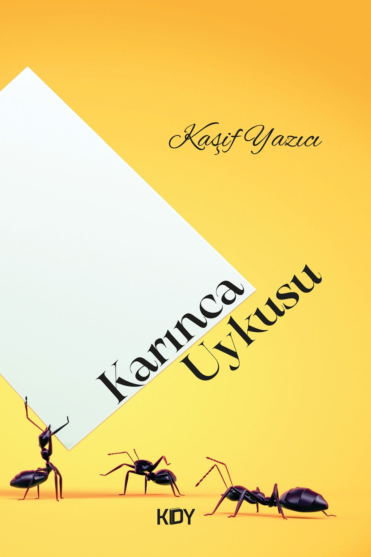 Karınca Uykusu - Kaşif Yazıcı kitap kapağı