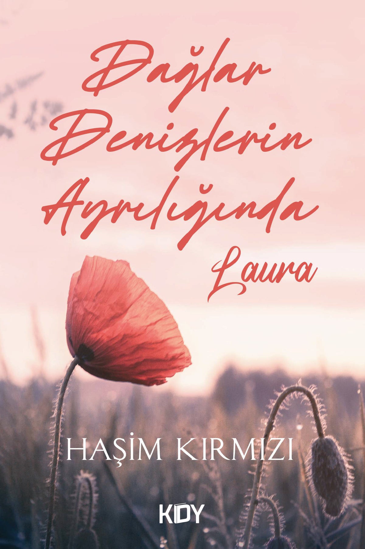 Dağlar Denizlerin Ayrılığında - Haşim Kırmızı kitap kapağı