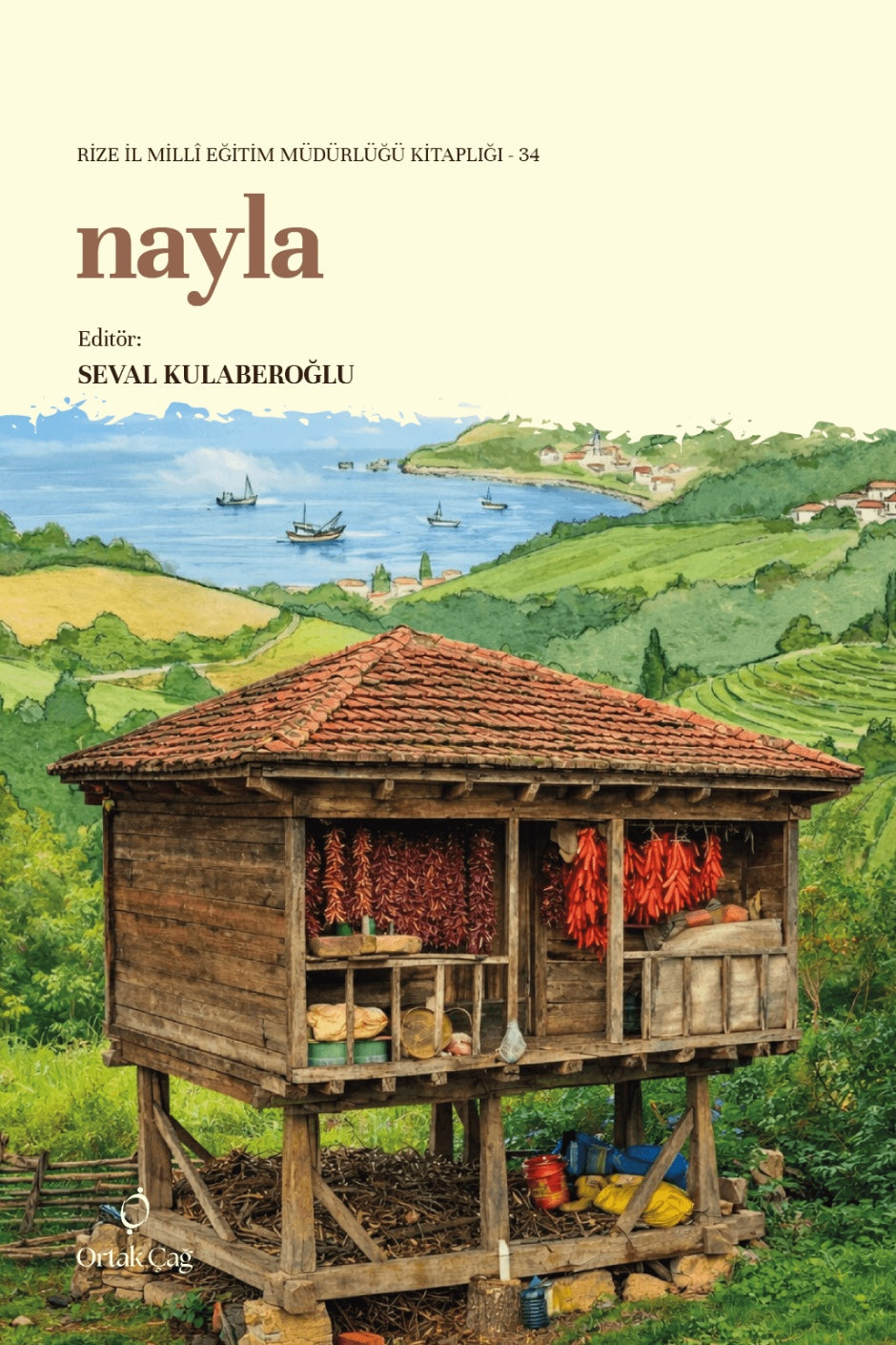 Nayla 10 Hikaye ile Dünya Turu - Seval Kulaberoğlu kitap kapağı