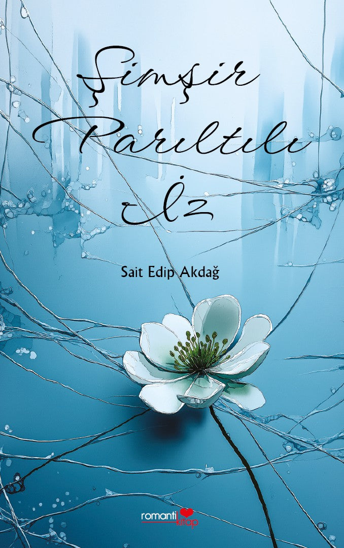 Şimşir Parıltılı İz - Sait Edip Akdağ kitap kapağı