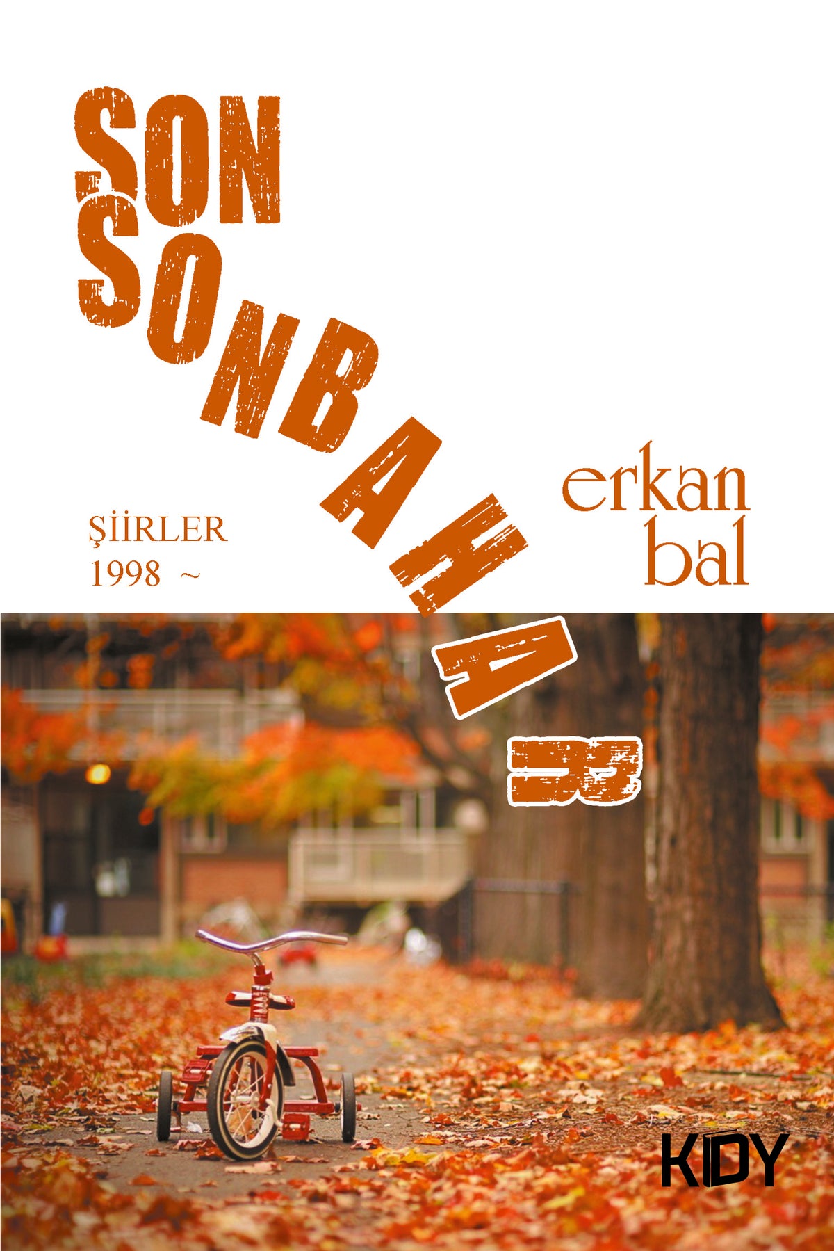Son Sonbahar - Erkan Bal kitap kapağı