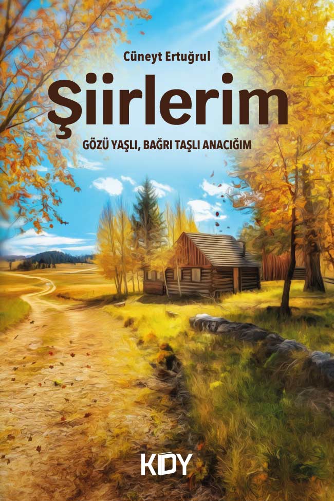 Şiirlerim - Cüneyt Ertuğrul kitap kapağı