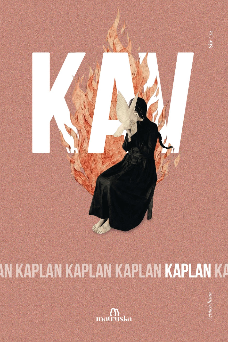 Kav - Kaplan kitap kapağı