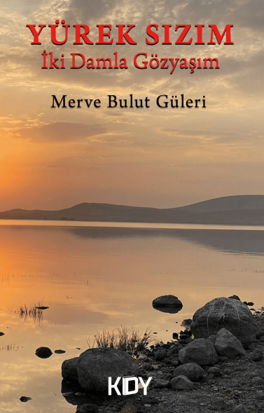 Yürek Sızım - Merve Bulut Güleri kitap kapağı