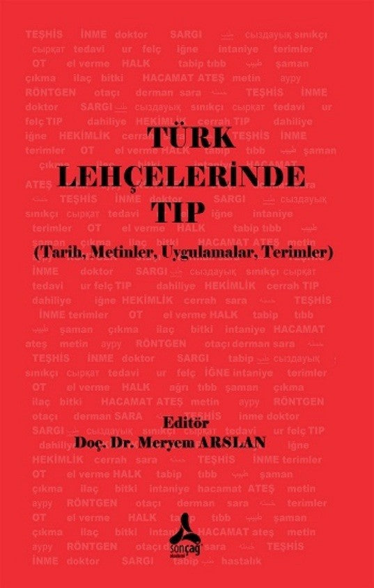 Türk Lehçelerinde Tıp Üzerine - Meryem Arslan kitap kapağı