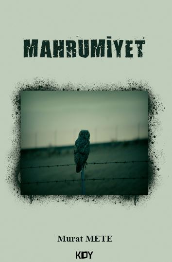 Mahrumiyet - Murat Mete kitap kapağı