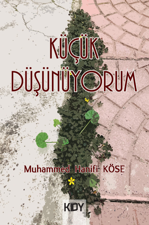 Küçük Düşünüyorum - Muhammed Hanifi Köse kitap kapağı