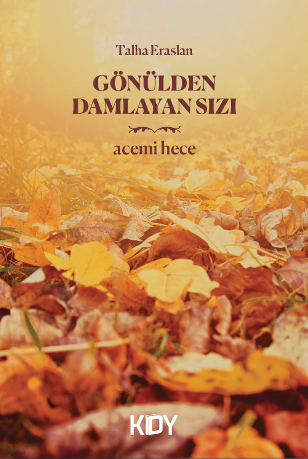 Gönülden Damlayan Sızı - Talha Eraslan kitap kapağı