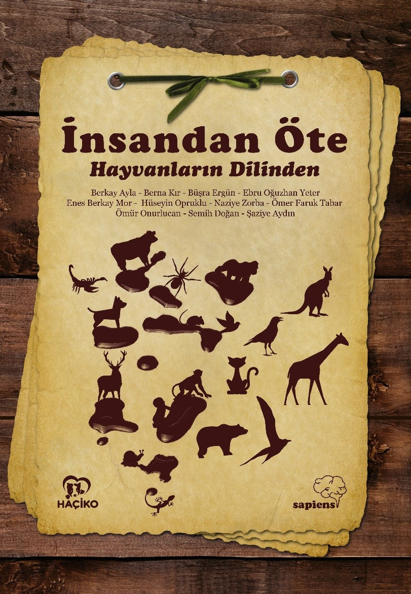 İnsandan Öte - Kolektif kitap kapağı
