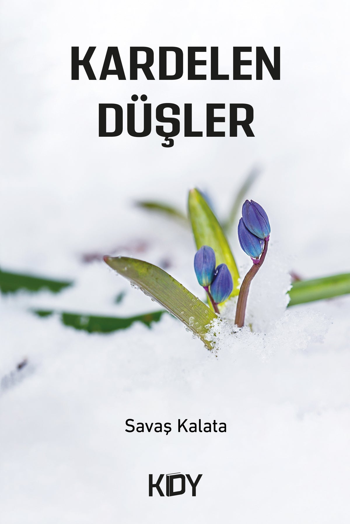Kardelen Düşler - Savaş Kalata kitap kapağı