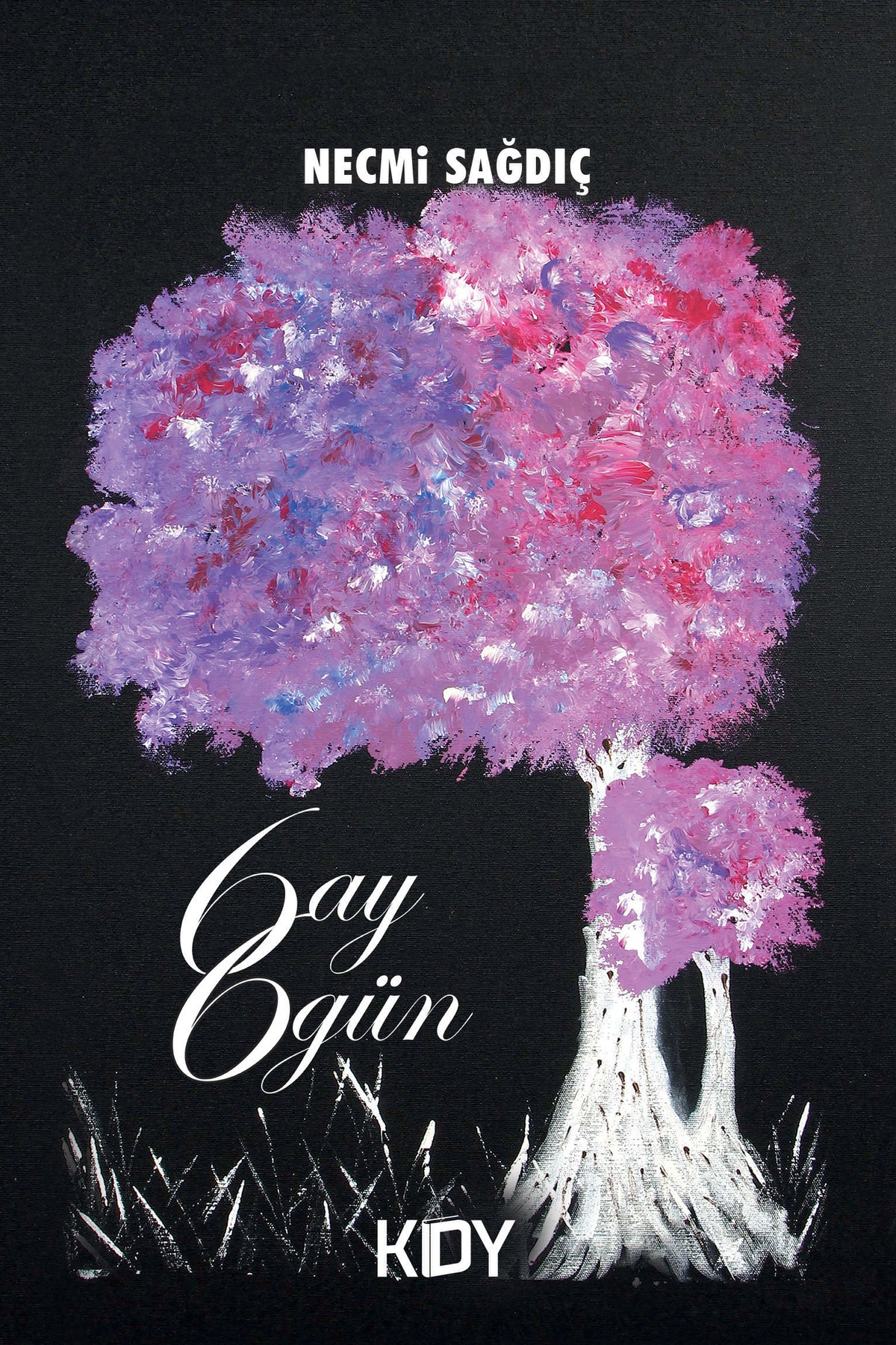 6 ay 6 gün - Necmi Sağdıç kitap kapağı