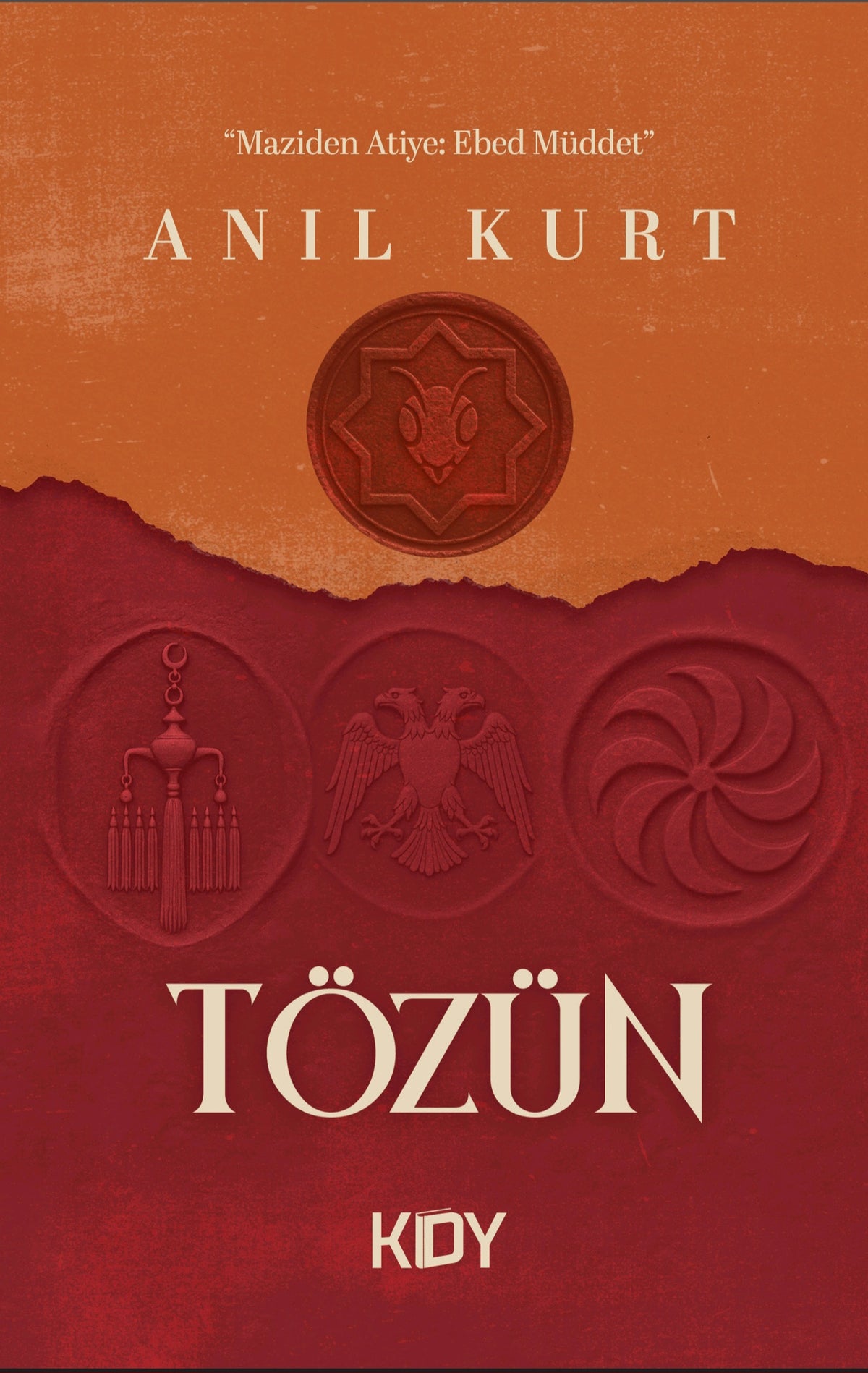 Tözün - Anıl Kurt kitap kapağı