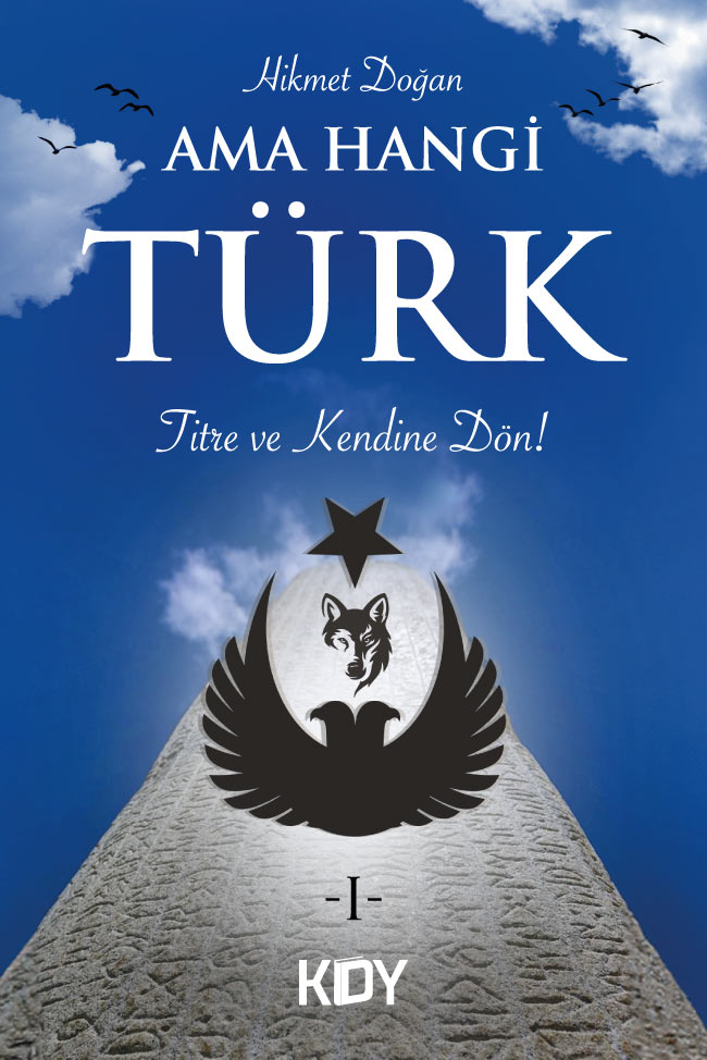 Ama Hangi Türk 1 Titre ve Kendine Dön! - Hikmet Doğan kitap kapağı