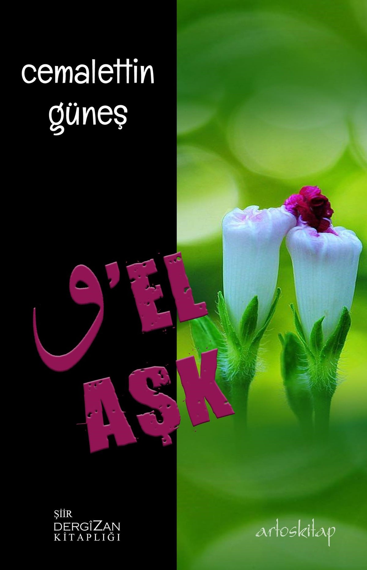 Vel Aşk - Cemalettin Güneş kitap kapağı