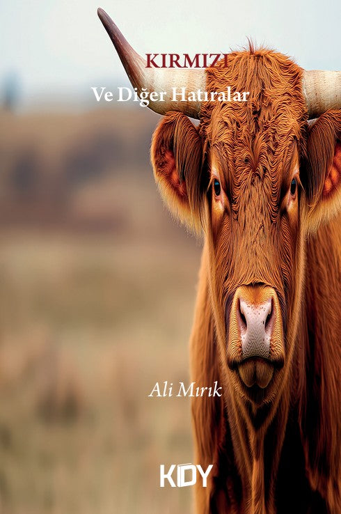 Kırmızı - Ali Mırık kitap kapağı