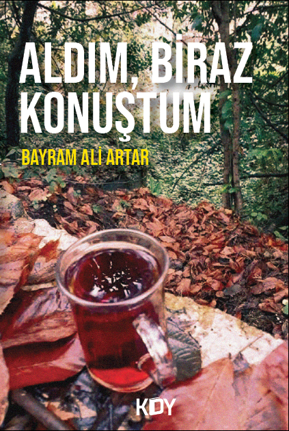 Aldım, Biraz Konuştum - Bayram Ali Artar kitap kapağı