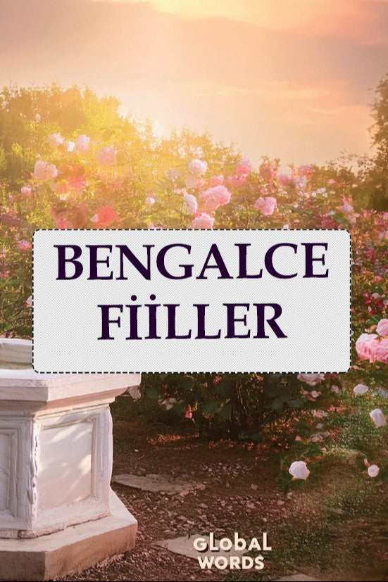 Bengalce Fiiller - Kolektif kitap kapağı