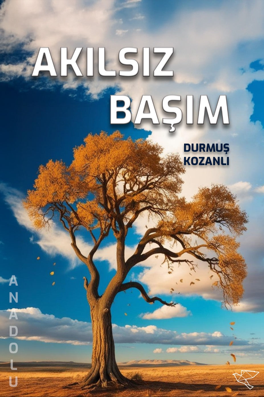 Akılsız Başım - Durmuş Kozanlı kitap kapağı