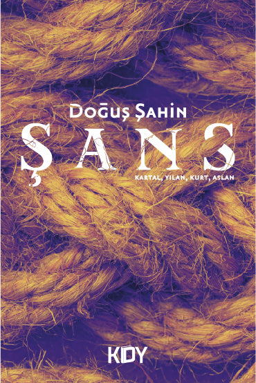 Şans - Doğuş Şahin kitap kapağı