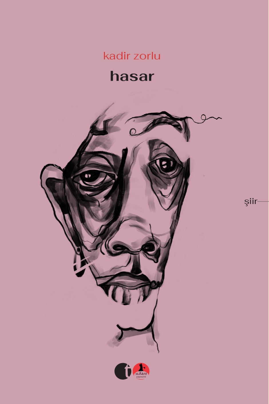 Hasar - Kadir Zorlu kitap kapağı