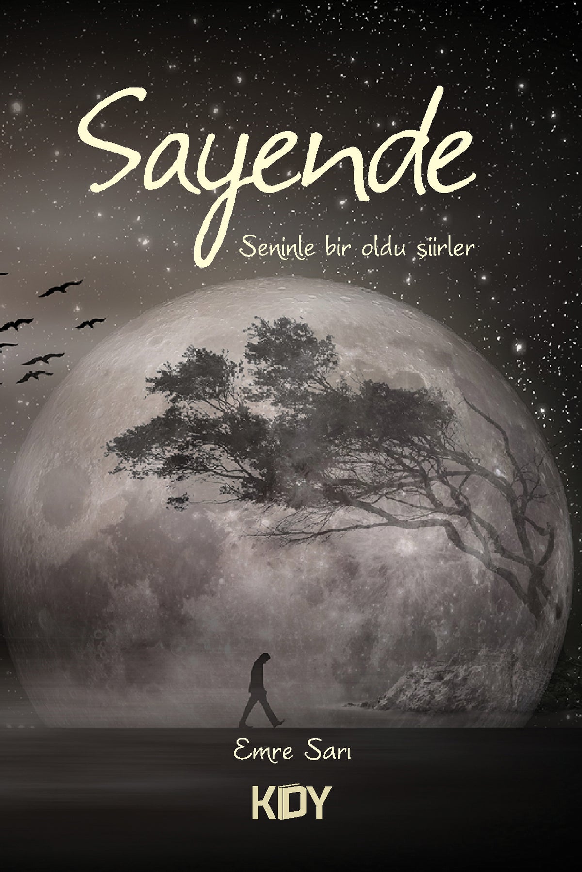 Sayende - Emre Sarı kitap kapağı