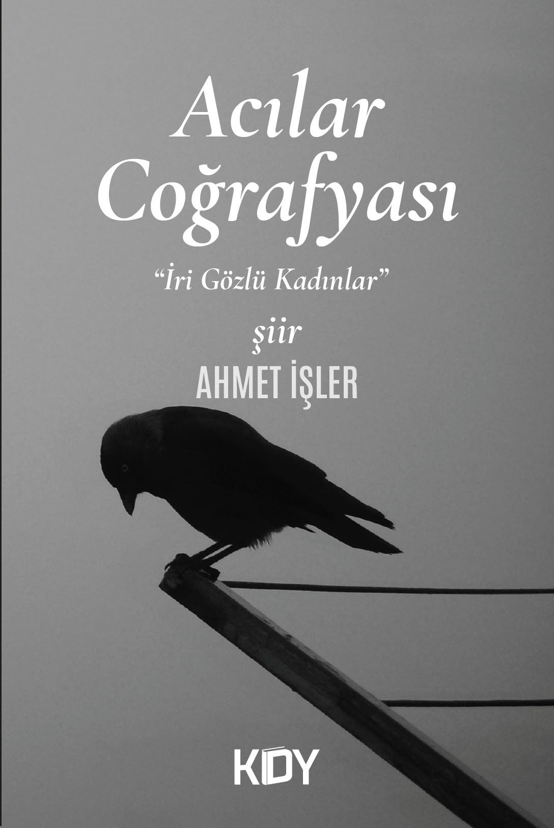 Acılar Coğrafyası - Ahmet İşler kitap kapağı