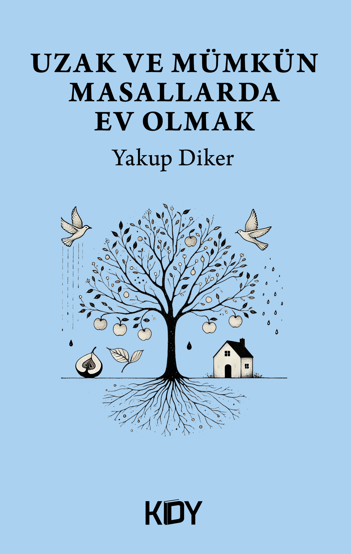 Uzak ve Mümkün Masallarda Ev Olmak - Yakup Diker kitap kapağı