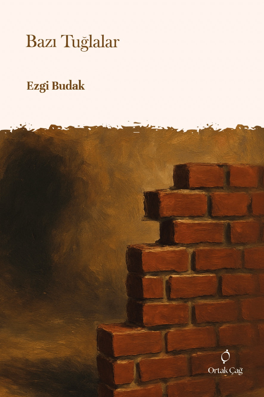 Bazı Tuğlalar - Ezgi Budak kitap kapağı