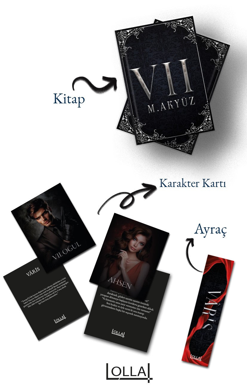 Varis - Merve Akyüz kitap kapağı