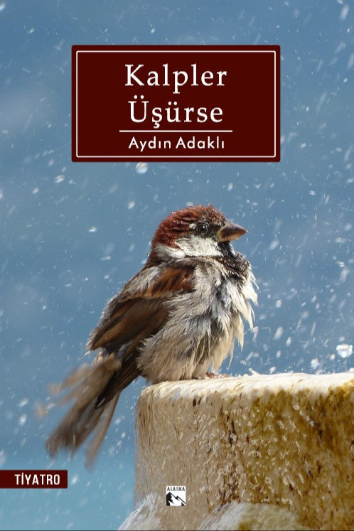 Kalpler Üşürse - Aydın Adaklı kitap kapağı