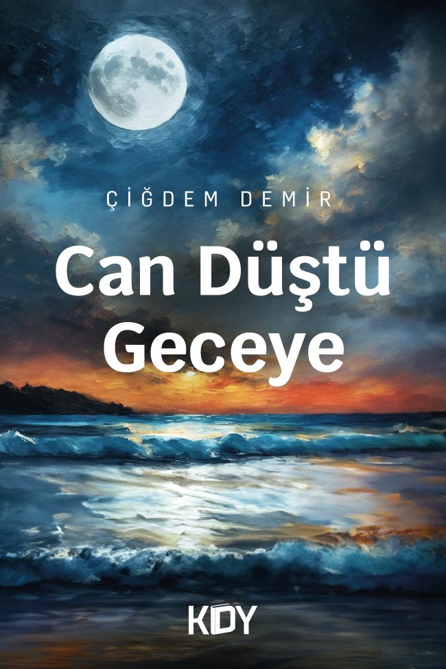 Can Düştü Geceye - Çiğdem Demir kitap kapağı