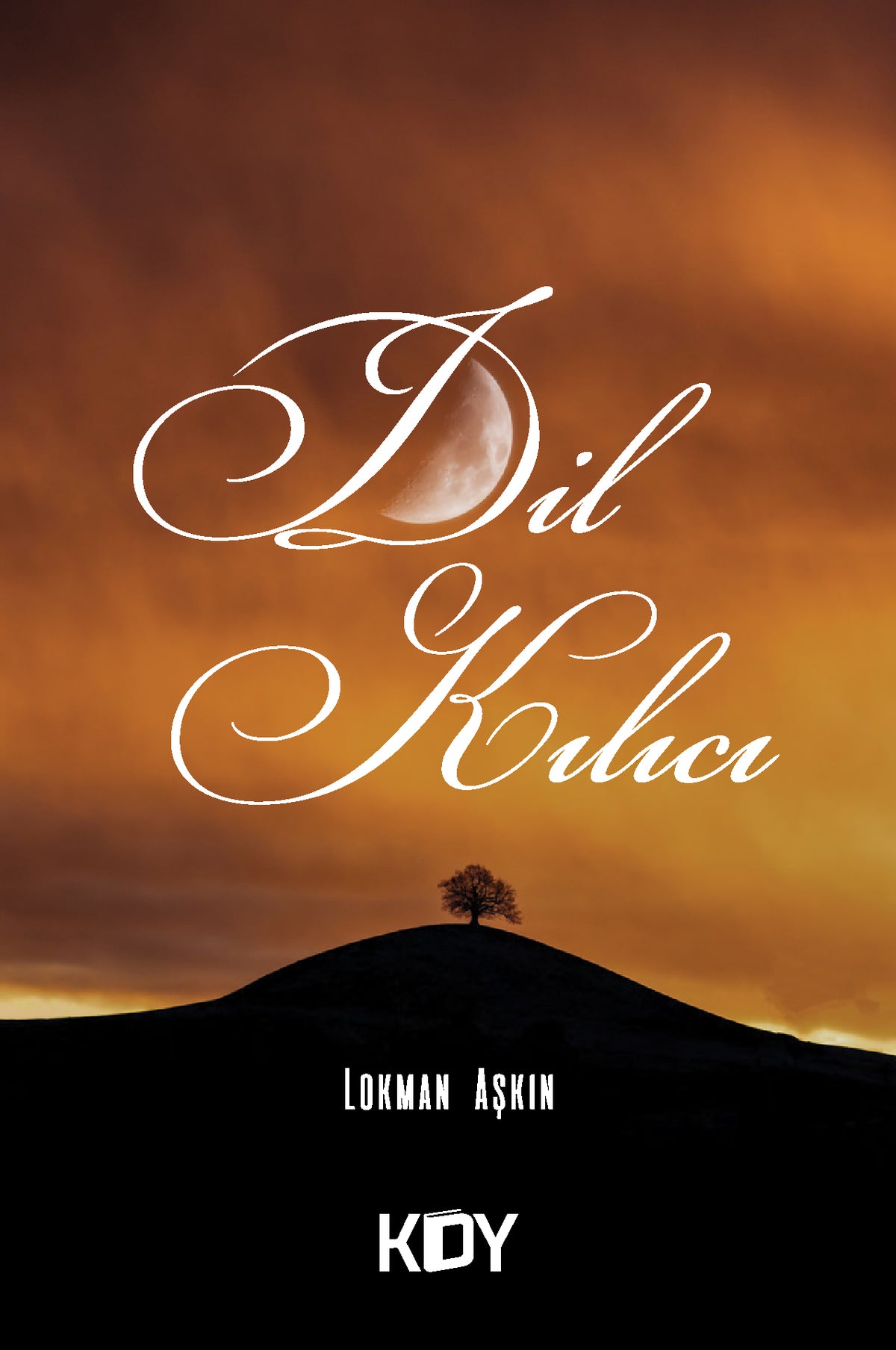 Dil Kılıcı - Lokman Aşkın kitap kapağı