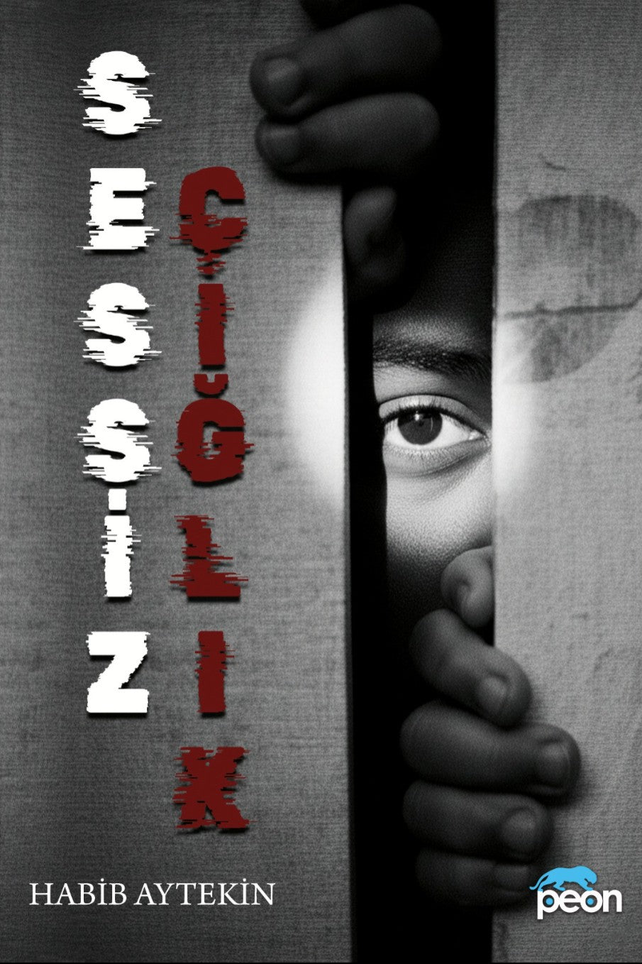 Sessiz Çığlık - Habib Aytekin kitap kapağı