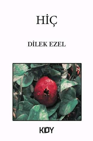 Hiç - Dilek Ezel kitap kapağı