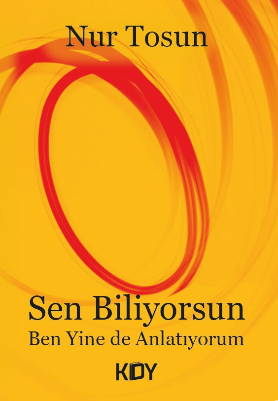 Sen Biliyorsun - Nur Tosun kitap kapağı