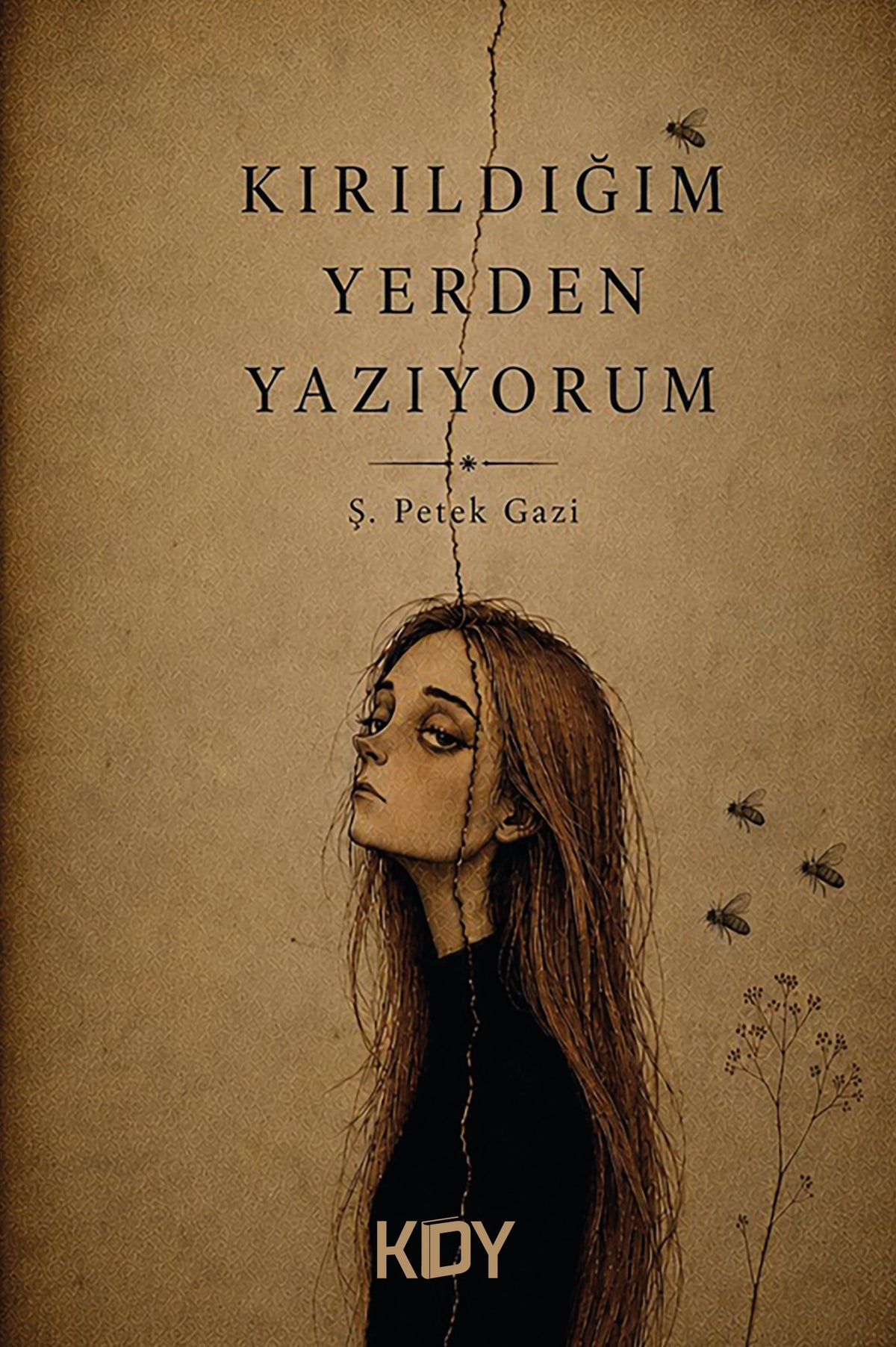 Kırıldığım Yerden Yazıyorum - Ş. Petek Gazi kitap kapağı
