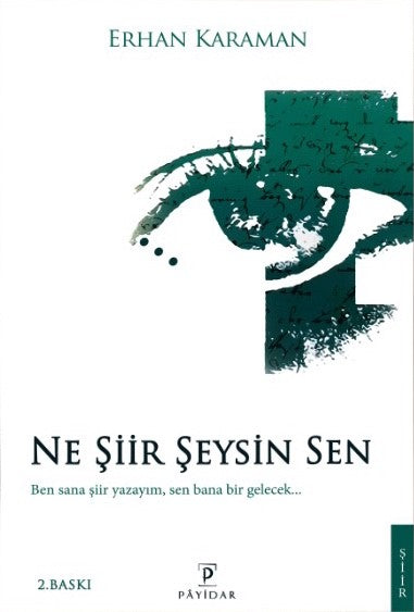 Ne Şiir Şeysin Sen - Erhan Karaman kitap kapağı