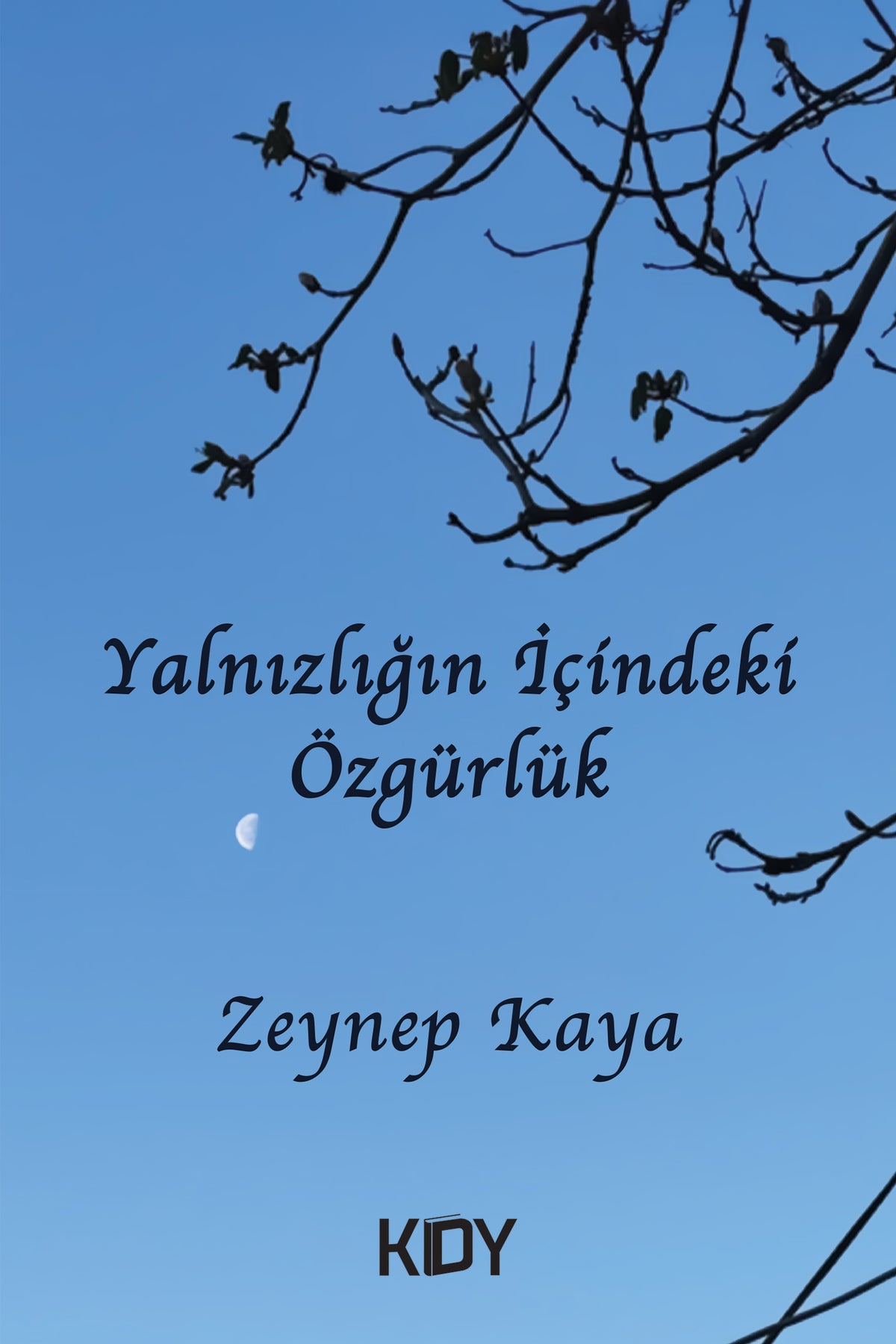 Yalnızlığın İçindeki Özgürlük - Zeynep Kaya kitap kapağı