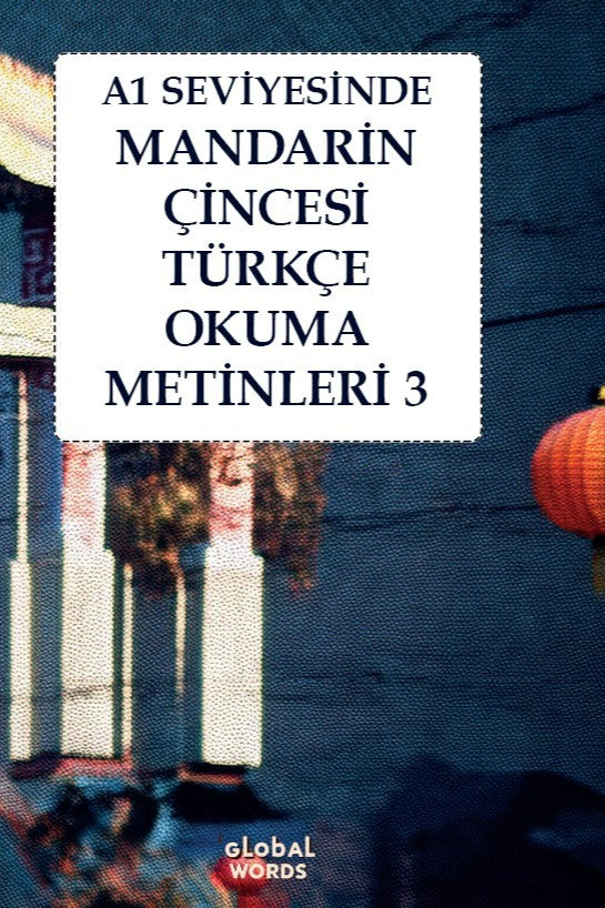A1 Seviyesinde Mandarin Çincesi-Türkçe Okuma Metinleri 3 - Kolektif kitap kapağı