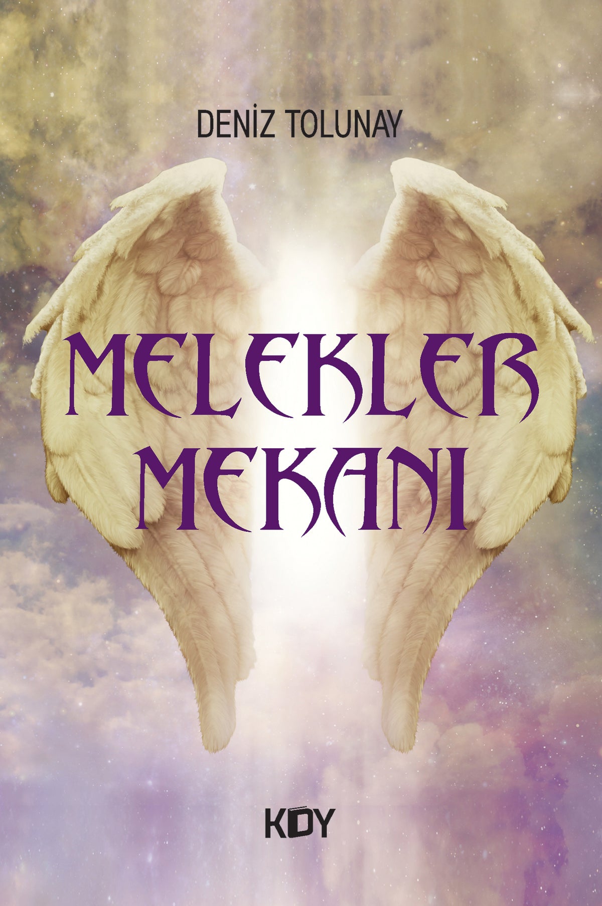 Melekler Mekanı - Deniz Tolunay kitap kapağı