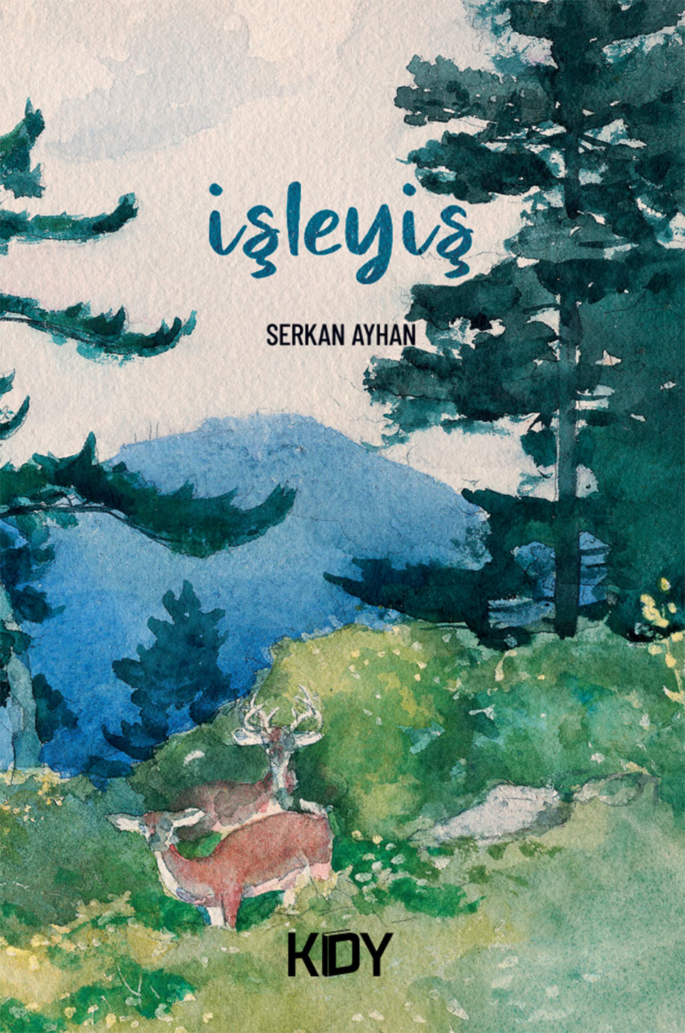 İşleyiş - Serkan Ayhan kitap kapağı